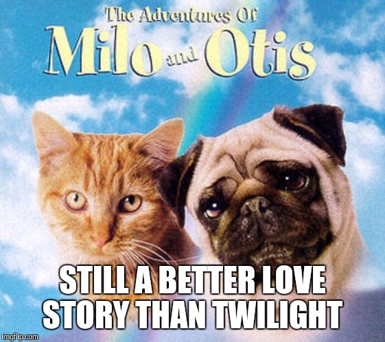 STILL A BETTER LOVE STORY THAN TWILIGHT | image tagged in original meme | made w/ Imgflip meme maker
