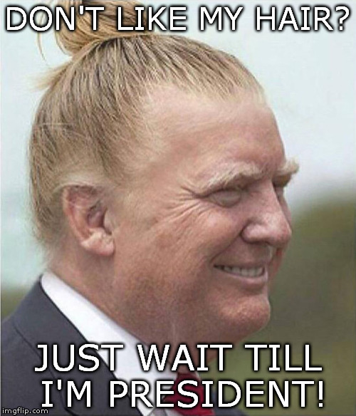 presidential hair | DON'T LIKE MY HAIR? JUST WAIT TILL I'M PRESIDENT! | image tagged in trump | made w/ Imgflip meme maker