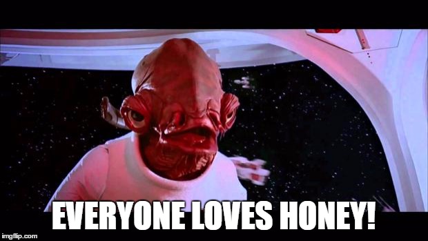 It's a trap  | EVERYONE LOVES HONEY! | image tagged in it's a trap | made w/ Imgflip meme maker