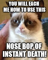 YOU WILL EACH ME HOW TO USE THIS NOSE BOP OF INSTANT DEATH! | made w/ Imgflip meme maker