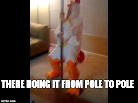 THERE DOING IT FROM POLE TO POLE | made w/ Imgflip meme maker