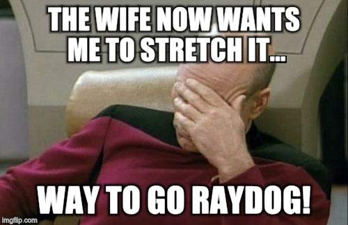 Captain Picard Facepalm Meme | THE WIFE NOW WANTS ME TO STRETCH IT... WAY TO GO RAYDOG! | image tagged in memes,captain picard facepalm | made w/ Imgflip meme maker