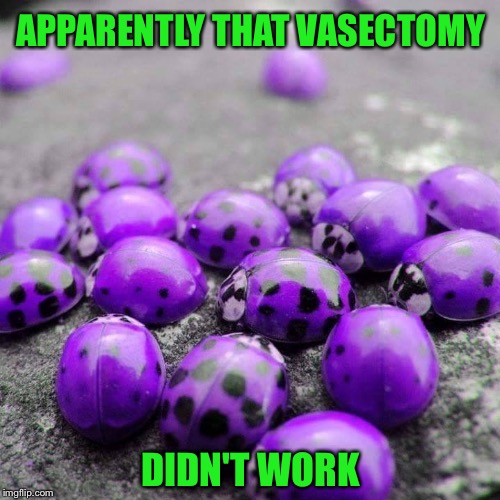 APPARENTLY THAT VASECTOMY DIDN'T WORK | made w/ Imgflip meme maker