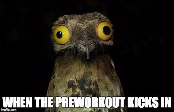 Weird Stuff I Do Potoo Meme | WHEN THE PREWORKOUT KICKS IN | image tagged in memes,weird stuff i do potoo | made w/ Imgflip meme maker