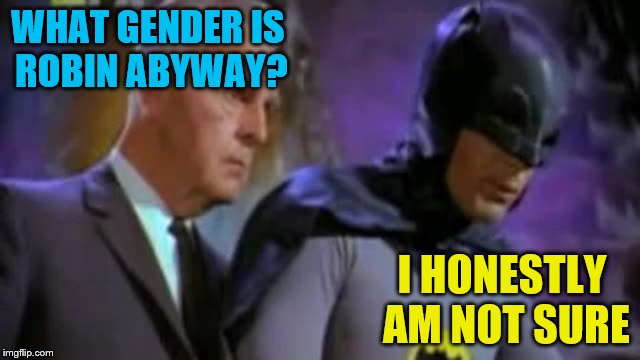 WHAT GENDER IS ROBIN ABYWAY? I HONESTLY AM NOT SURE | made w/ Imgflip meme maker