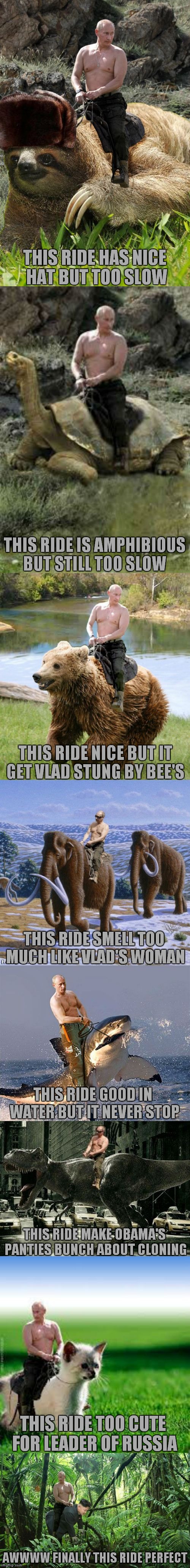 The history of Vlad finding a ride... | THIS RIDE HAS NICE HAT BUT TOO SLOW; THIS RIDE IS AMPHIBIOUS BUT STILL TOO SLOW; THIS RIDE NICE BUT IT GET VLAD STUNG BY BEE'S; THIS RIDE SMELL TOO MUCH LIKE VLAD'S WOMAN; THIS RIDE GOOD IN WATER BUT IT NEVER STOP; THIS RIDE MAKE OBAMA'S PANTIES BUNCH ABOUT CLONING; THIS RIDE TOO CUTE FOR LEADER OF RUSSIA; AWWWW FINALLY THIS RIDE PERFECT | image tagged in vlad's rides | made w/ Imgflip meme maker