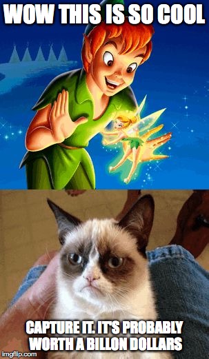 Grumpy Cat Does Not Believe | WOW THIS IS SO COOL; CAPTURE IT. IT'S PROBABLY WORTH A BILLON DOLLARS | image tagged in memes,grumpy cat does not believe | made w/ Imgflip meme maker