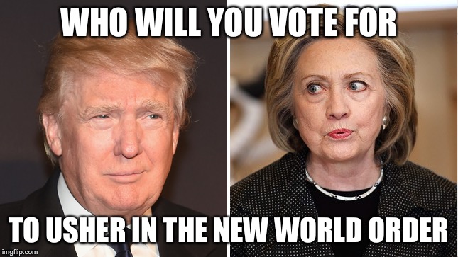 NWO | WHO WILL YOU VOTE FOR; TO USHER IN THE NEW WORLD ORDER | image tagged in new world order,conspiracy,donald trump,hillary clinton | made w/ Imgflip meme maker