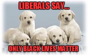 Liberals say... | LIBERALS SAY... ONLY BLACK LIVES MATTER | image tagged in liberals,blm | made w/ Imgflip meme maker