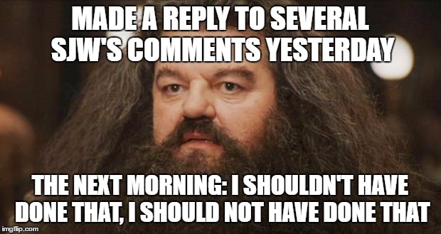 Hagrid | MADE A REPLY TO SEVERAL SJW'S COMMENTS YESTERDAY; THE NEXT MORNING: I SHOULDN'T HAVE DONE THAT, I SHOULD NOT HAVE DONE THAT | image tagged in hagrid | made w/ Imgflip meme maker