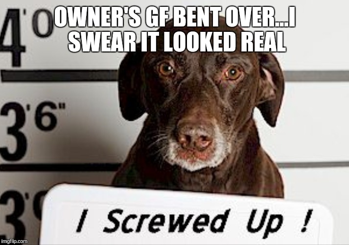 OWNER'S GF BENT OVER...I SWEAR IT LOOKED REAL | made w/ Imgflip meme maker