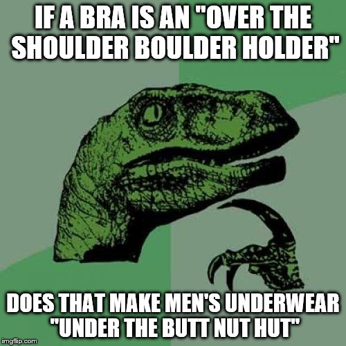 Boulders and nuts | IF A BRA IS AN "OVER THE SHOULDER BOULDER HOLDER"; DOES THAT MAKE MEN'S UNDERWEAR "UNDER THE BUTT NUT HUT" | image tagged in memes,philosoraptor | made w/ Imgflip meme maker