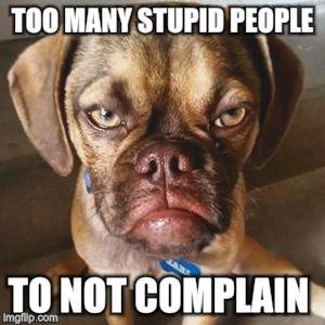 TOO MANY STUPID PEOPLE TO NOT COMPLAIN | made w/ Imgflip meme maker
