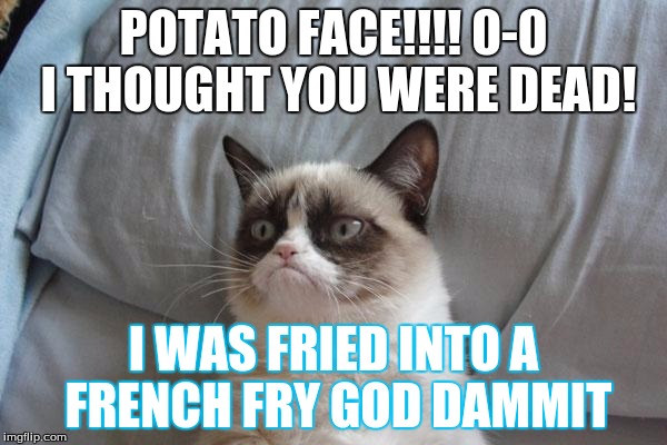 Grumpy Cat Bed | POTATO FACE!!!! 0-0 I THOUGHT YOU WERE DEAD! I WAS FRIED INTO A FRENCH FRY GOD DAMMIT | image tagged in memes,grumpy cat bed,grumpy cat | made w/ Imgflip meme maker