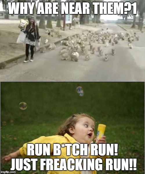 This was one of my meme comment under one raydog's meme about bunnies XD | WHY ARE NEAR THEM?1; RUN B*TCH RUN! JUST FREACKING RUN!! | image tagged in little girl running away,bunnies | made w/ Imgflip meme maker