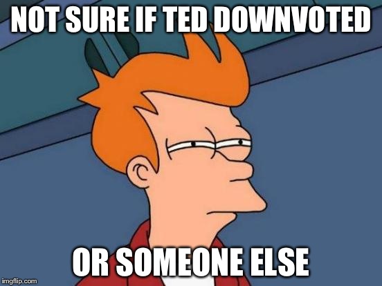 Futurama Fry Meme | NOT SURE IF TED DOWNVOTED OR SOMEONE ELSE | image tagged in memes,futurama fry | made w/ Imgflip meme maker