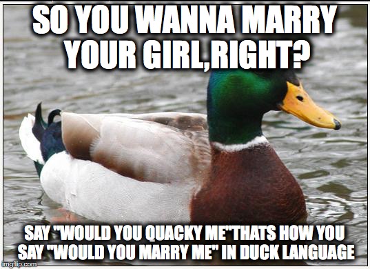 Actual Advice Mallard | SO YOU WANNA MARRY YOUR GIRL,RIGHT? SAY "WOULD YOU QUACKY ME"THATS HOW YOU SAY "WOULD YOU MARRY ME" IN DUCK LANGUAGE | image tagged in memes,actual advice mallard | made w/ Imgflip meme maker