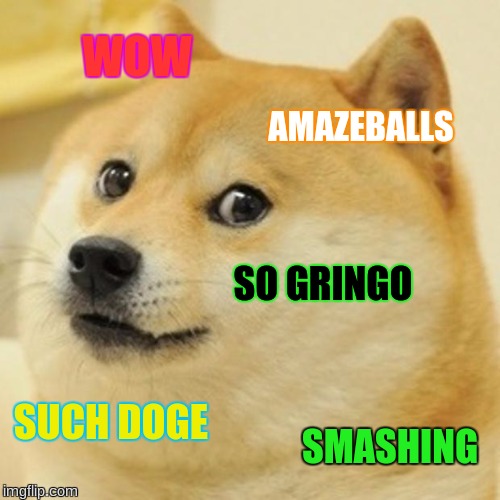 Doge Meme | WOW; AMAZEBALLS; SO GRINGO; SUCH DOGE; SMASHING | image tagged in memes,doge | made w/ Imgflip meme maker