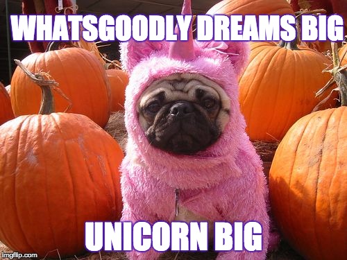 Whatsgoodly Becoming a Unicorn | WHATSGOODLY DREAMS BIG; UNICORN BIG | image tagged in funny dogs,dogs,funny memes,pugs,funny animals | made w/ Imgflip meme maker
