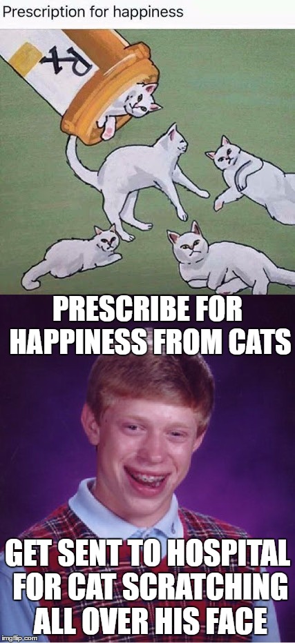 PRESCRIBE FOR HAPPINESS FROM CATS; GET SENT TO HOSPITAL FOR CAT SCRATCHING ALL OVER HIS FACE | image tagged in bad luck brian,cat | made w/ Imgflip meme maker