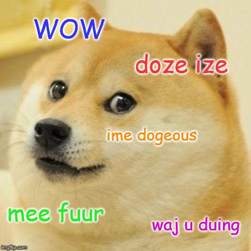 Doge Meme | WOW; doze ize; ime dogeous; mee fuur; waj u duing | image tagged in memes,doge | made w/ Imgflip meme maker