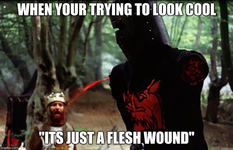 Monty Python Black Knight | WHEN YOUR TRYING TO LOOK COOL; "ITS JUST A FLESH WOUND" | image tagged in monty python black knight | made w/ Imgflip meme maker