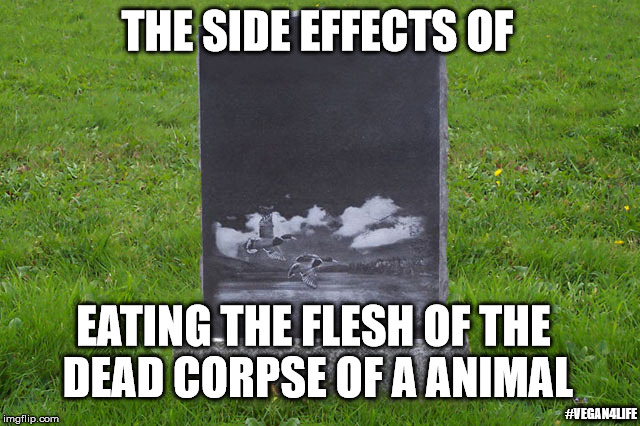 The side effects of... | THE SIDE EFFECTS OF; EATING THE FLESH OF THE DEAD CORPSE OF A ANIMAL; #VEGAN4LIFE | image tagged in funny memes,vegan,vegans do everthing better even fart,death | made w/ Imgflip meme maker