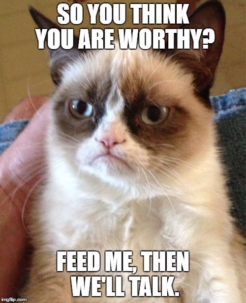 Grumpy Cat Meme | SO YOU THINK YOU ARE WORTHY? FEED ME, THEN WE'LL TALK. | image tagged in memes,grumpy cat | made w/ Imgflip meme maker