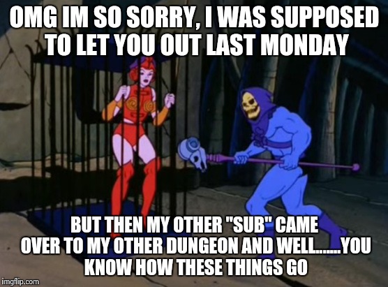 Dungeon master | OMG IM SO SORRY, I WAS SUPPOSED TO LET YOU OUT LAST MONDAY; BUT THEN MY OTHER "SUB" CAME OVER TO MY OTHER DUNGEON AND WELL.......YOU KNOW HOW THESE THINGS GO | image tagged in dungeon,skeletor,memes,funny | made w/ Imgflip meme maker