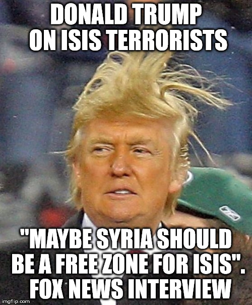 Donald Trumph hair | DONALD TRUMP ON ISIS TERRORISTS; "MAYBE SYRIA SHOULD BE A FREE ZONE FOR ISIS".  FOX NEWS INTERVIEW | image tagged in donald trumph hair | made w/ Imgflip meme maker