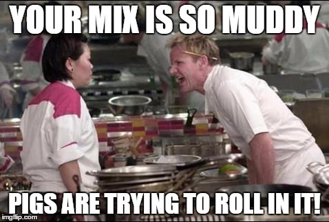 Angry Chef Gordon Ramsay Meme | YOUR MIX IS SO MUDDY; PIGS ARE TRYING TO ROLL IN IT! | image tagged in memes,angry chef gordon ramsay | made w/ Imgflip meme maker