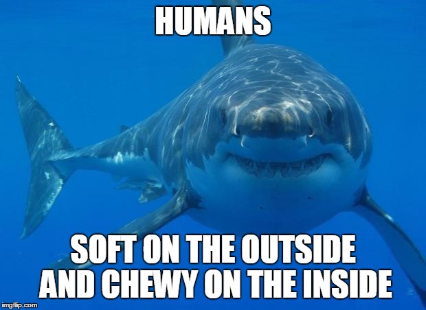 Straight White Shark |  HUMANS; SOFT ON THE OUTSIDE AND CHEWY ON THE INSIDE | image tagged in straight white shark | made w/ Imgflip meme maker
