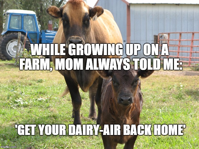 WHILE GROWING UP ON A FARM, MOM ALWAYS TOLD ME:; 'GET YOUR DAIRY-AIR BACK HOME' | image tagged in farm humor | made w/ Imgflip meme maker