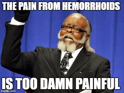 Too Damn High Meme | THE PAIN FROM HEMORRHOIDS IS TOO DAMN PAINFUL | image tagged in memes,too damn high | made w/ Imgflip meme maker