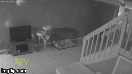 A new, never-before-seen sneak peek at the new Disney movie, The Secret