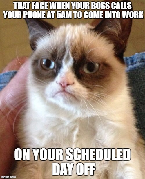 i am sure at least a majority of us have all been there, done that. | THAT FACE WHEN YOUR BOSS CALLS YOUR PHONE AT 5AM TO COME INTO WORK; ON YOUR SCHEDULED DAY OFF | image tagged in memes,grumpy cat,day off,that face when,that face you make when,tfw | made w/ Imgflip meme maker