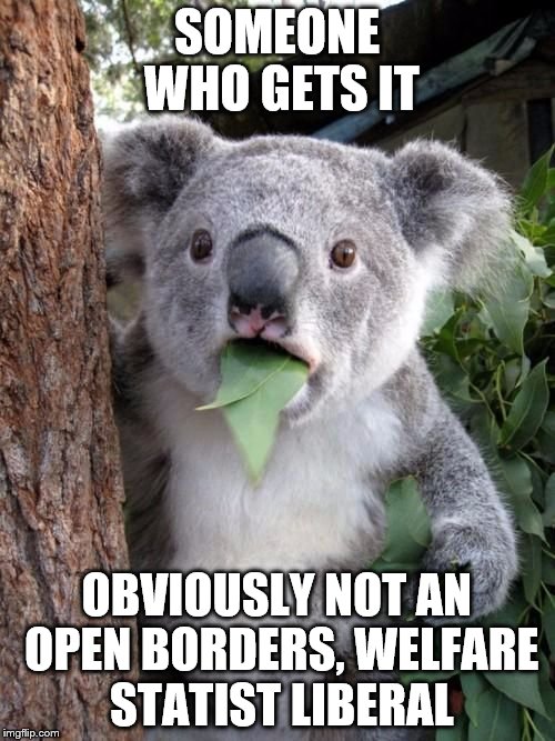 WTF Koala | SOMEONE WHO GETS IT OBVIOUSLY NOT AN OPEN BORDERS, WELFARE STATIST LIBERAL | image tagged in wtf koala | made w/ Imgflip meme maker