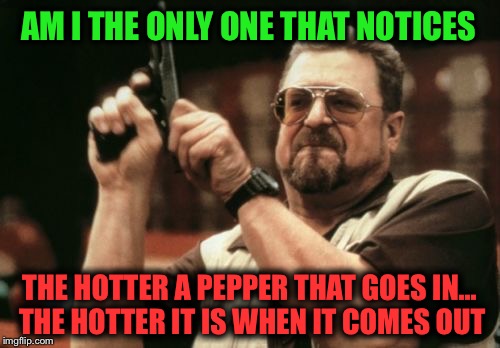 Hot Peppers | AM I THE ONLY ONE THAT NOTICES; THE HOTTER A PEPPER THAT GOES IN... THE HOTTER IT IS WHEN IT COMES OUT | image tagged in memes,am i the only one around here,peppers,toilet humor,funny | made w/ Imgflip meme maker