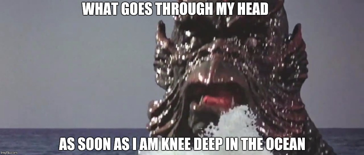 kraken kills | WHAT GOES THROUGH MY HEAD; AS SOON AS I AM KNEE DEEP IN THE OCEAN | image tagged in kraken | made w/ Imgflip meme maker