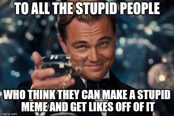 Leonardo Dicaprio Cheers | TO ALL THE STUPID PEOPLE; WHO THINK THEY CAN MAKE A STUPID MEME AND GET LIKES OFF OF IT | image tagged in memes,leonardo dicaprio cheers | made w/ Imgflip meme maker