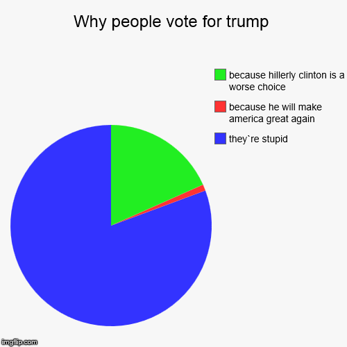 image tagged in funny,pie charts,donald trump,stupidity | made w/ Imgflip chart maker