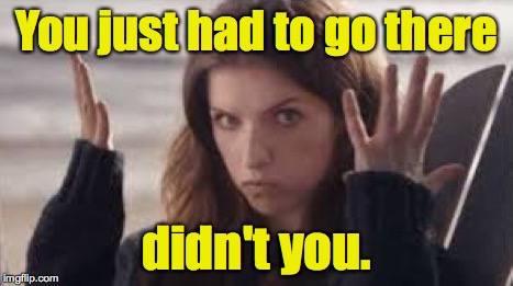 WTF Anna | You just had to go there didn't you. | image tagged in wtf anna | made w/ Imgflip meme maker