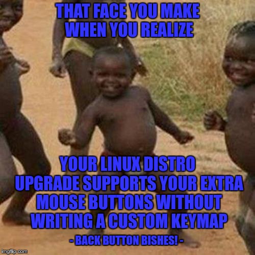 Booyah!!! My mouse buttons work? When did linux decide to let me be lazy? | THAT FACE YOU MAKE WHEN YOU REALIZE; YOUR LINUX DISTRO UPGRADE SUPPORTS YOUR EXTRA MOUSE BUTTONS WITHOUT WRITING A CUSTOM KEYMAP; - BACK BUTTON BISHES! - | image tagged in memes,third world success kid,equi-bean-ium,linux,mouse,that face you make when | made w/ Imgflip meme maker