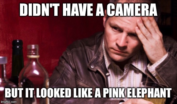 DIDN'T HAVE A CAMERA BUT IT LOOKED LIKE A PINK ELEPHANT | made w/ Imgflip meme maker