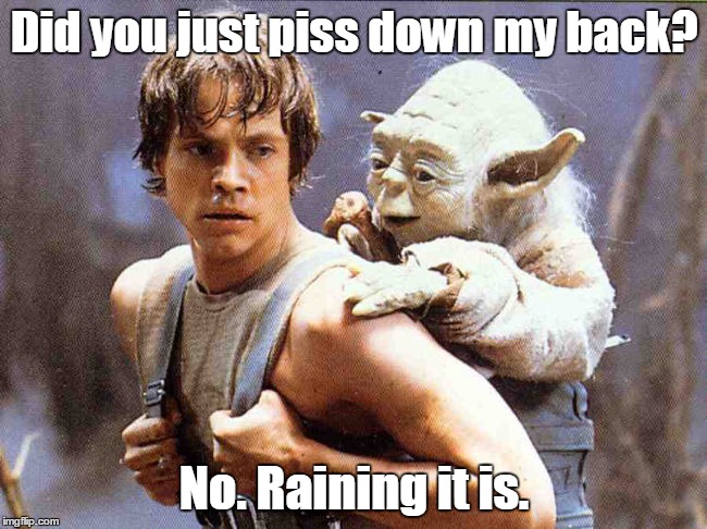 Life isn't tough enough. You gotta have some little f@cker pissing on you. |  Did you just piss down my back? No. Raining it is. | image tagged in luke and yoda,funny | made w/ Imgflip meme maker