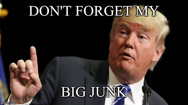 DON'T FORGET MY BIG JUNK | made w/ Imgflip meme maker