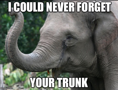 I COULD NEVER FORGET YOUR TRUNK | made w/ Imgflip meme maker