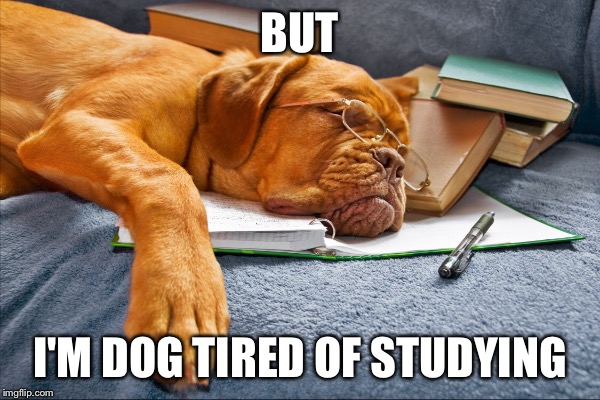 BUT I'M DOG TIRED OF STUDYING | made w/ Imgflip meme maker