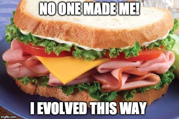 Yummy science!  | NO ONE MADE ME! I EVOLVED THIS WAY | image tagged in sandwich,evolution,science,god,creationism,bible | made w/ Imgflip meme maker