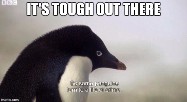 Thanks YouTube Subtitles! | IT'S TOUGH OUT THERE | image tagged in youtube,funny,memes | made w/ Imgflip meme maker